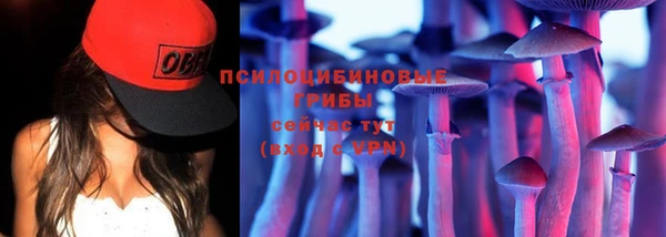 хмурый Армянск